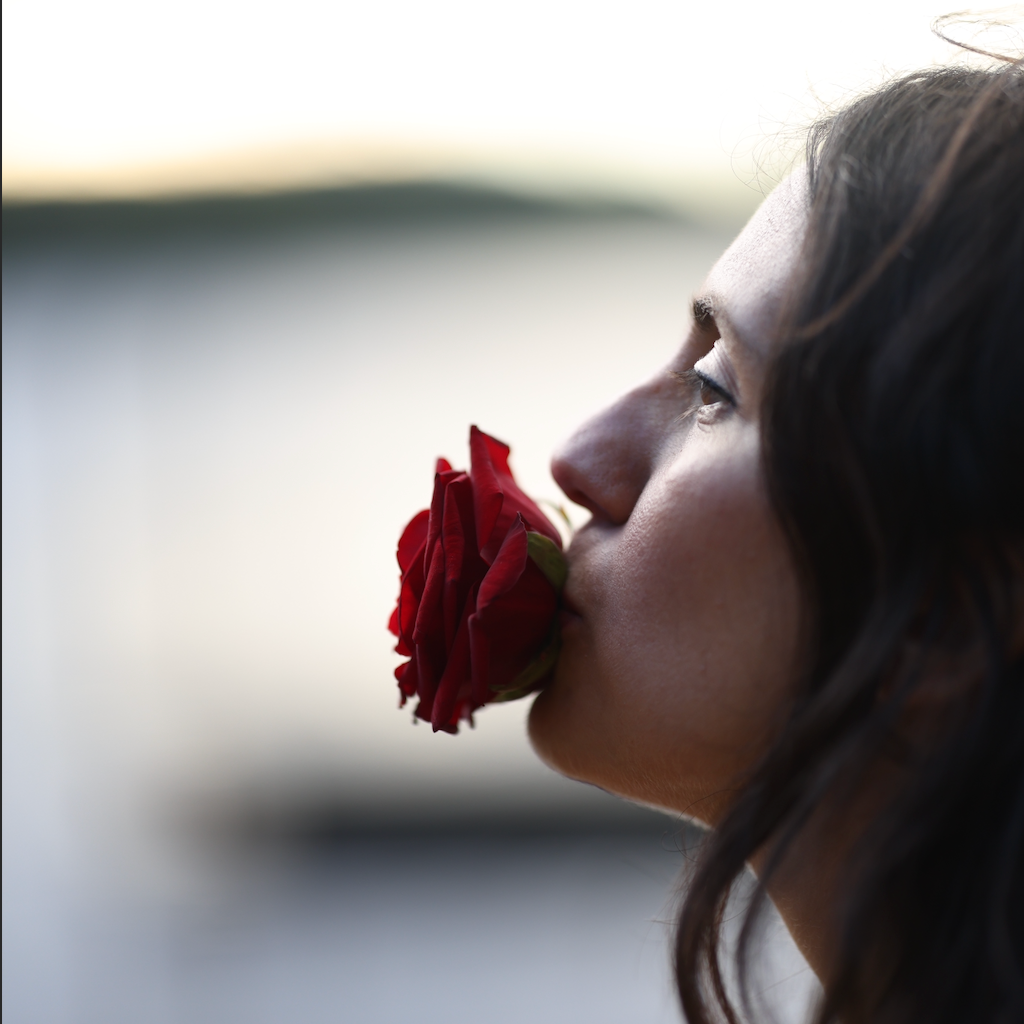 Rose Rogue