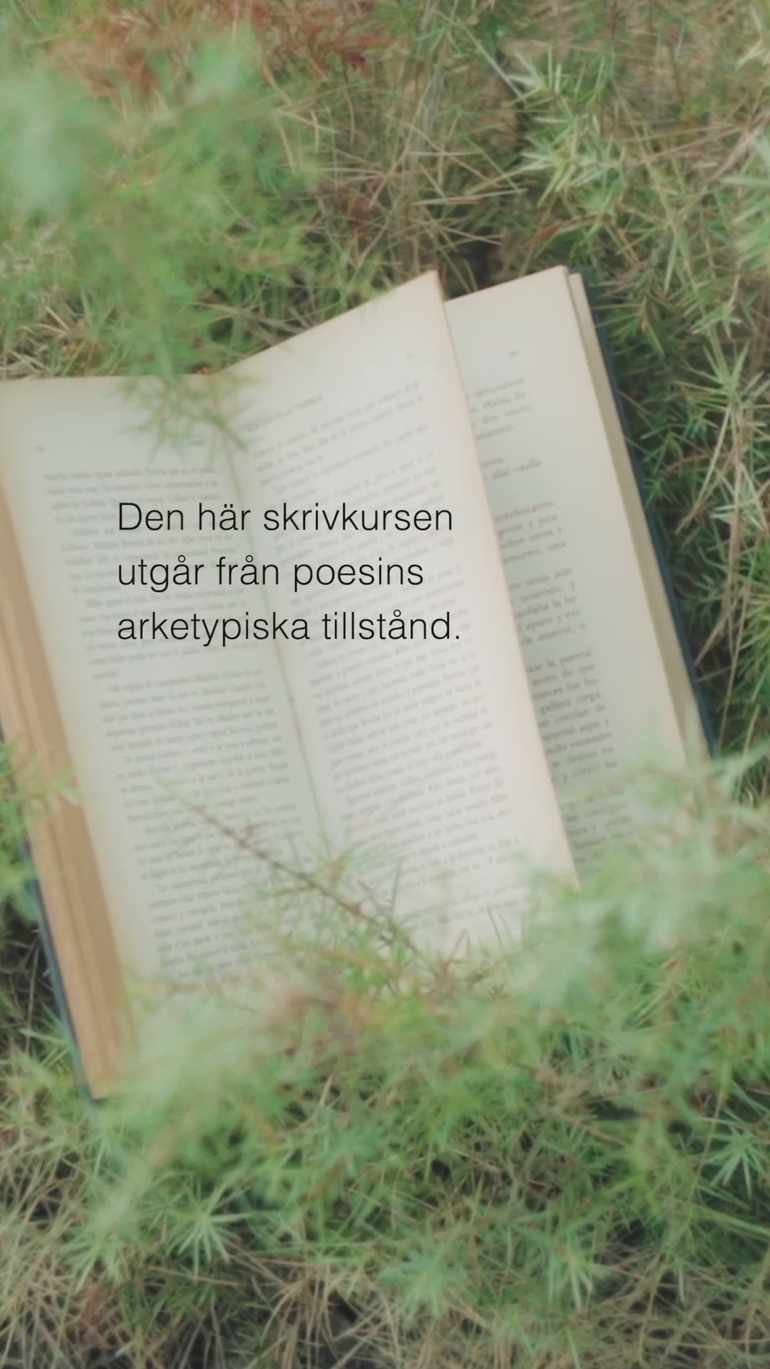 Skrivkurs: Poesins arketypiska tillstånd