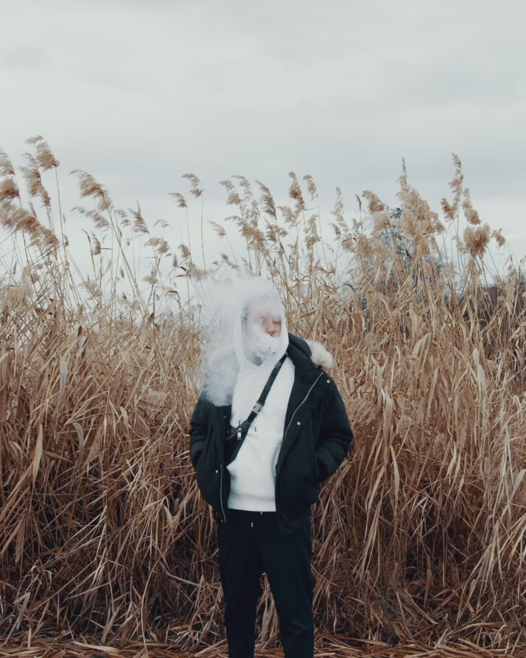 The Botanical Selection Trio