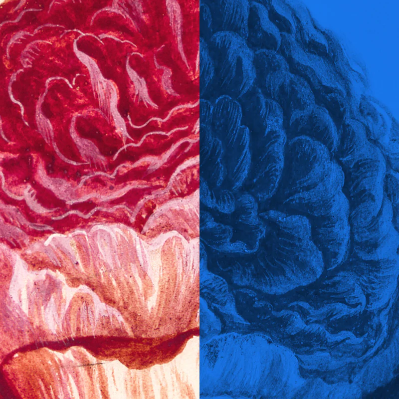 Sample Pack - 2 Smokes